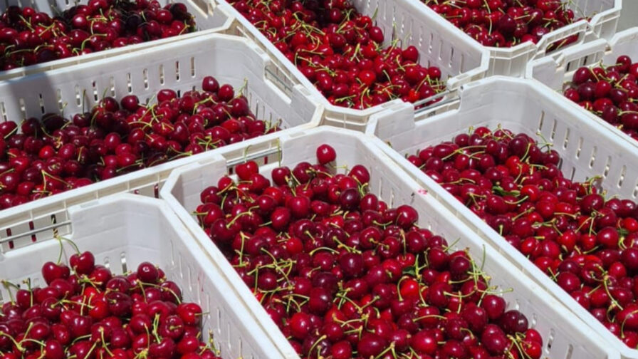 Descripción de la imagen