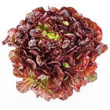 Descripción de la imagen