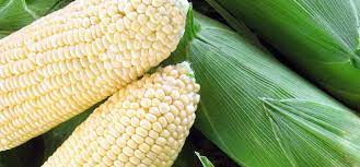 Descripción de la imagen