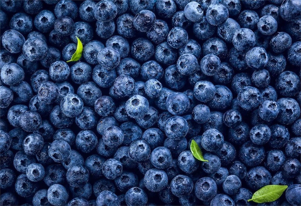 Descripción de la imagen