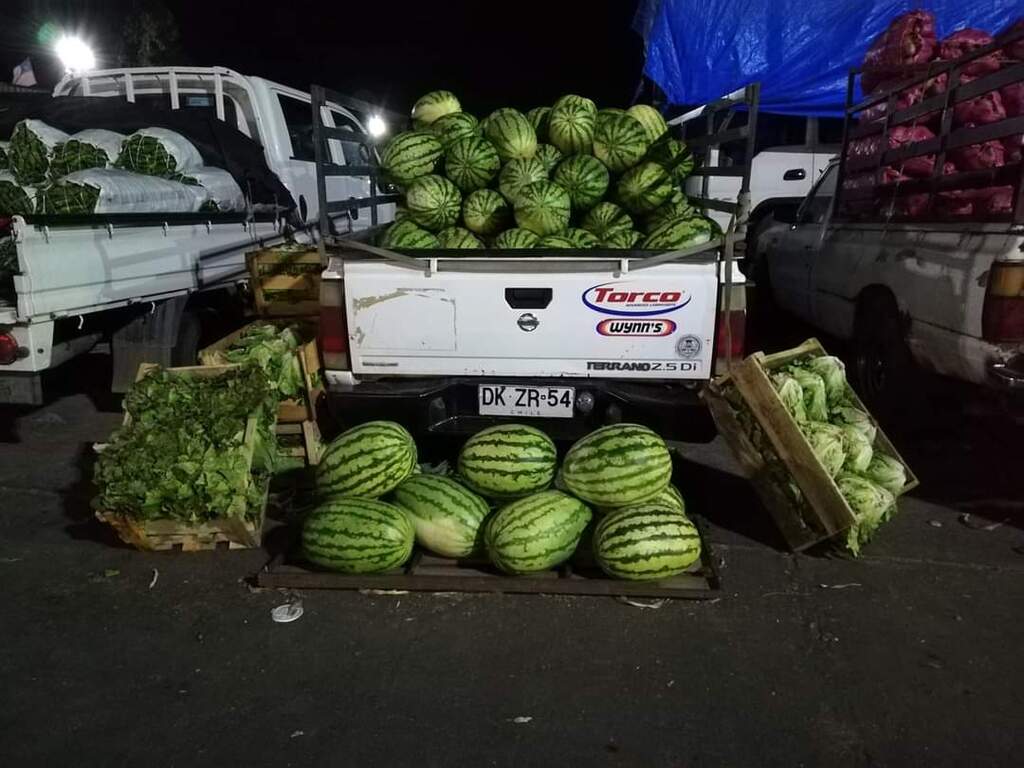 Descripción de la imagen