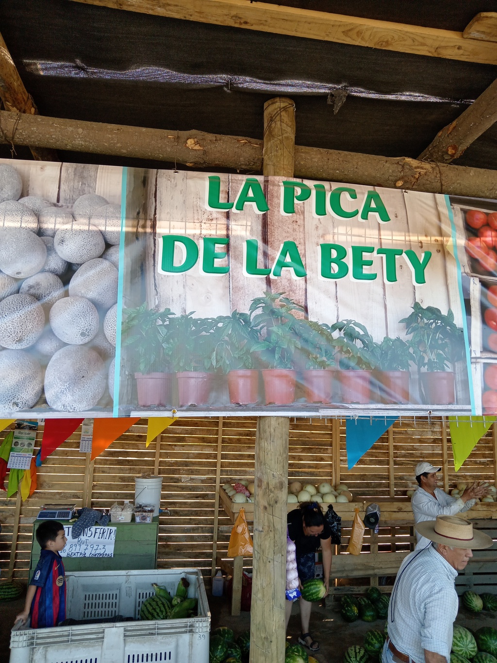 Descripción de la imagen