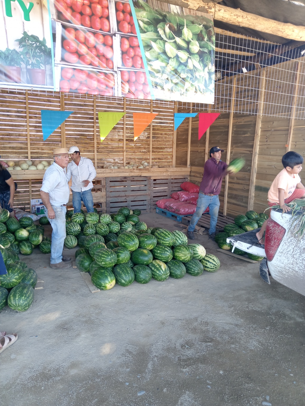 Descripción de la imagen