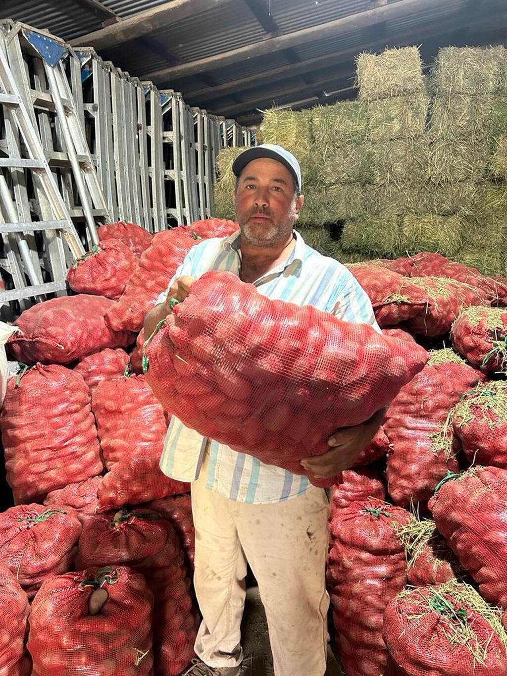 Descripción de la imagen