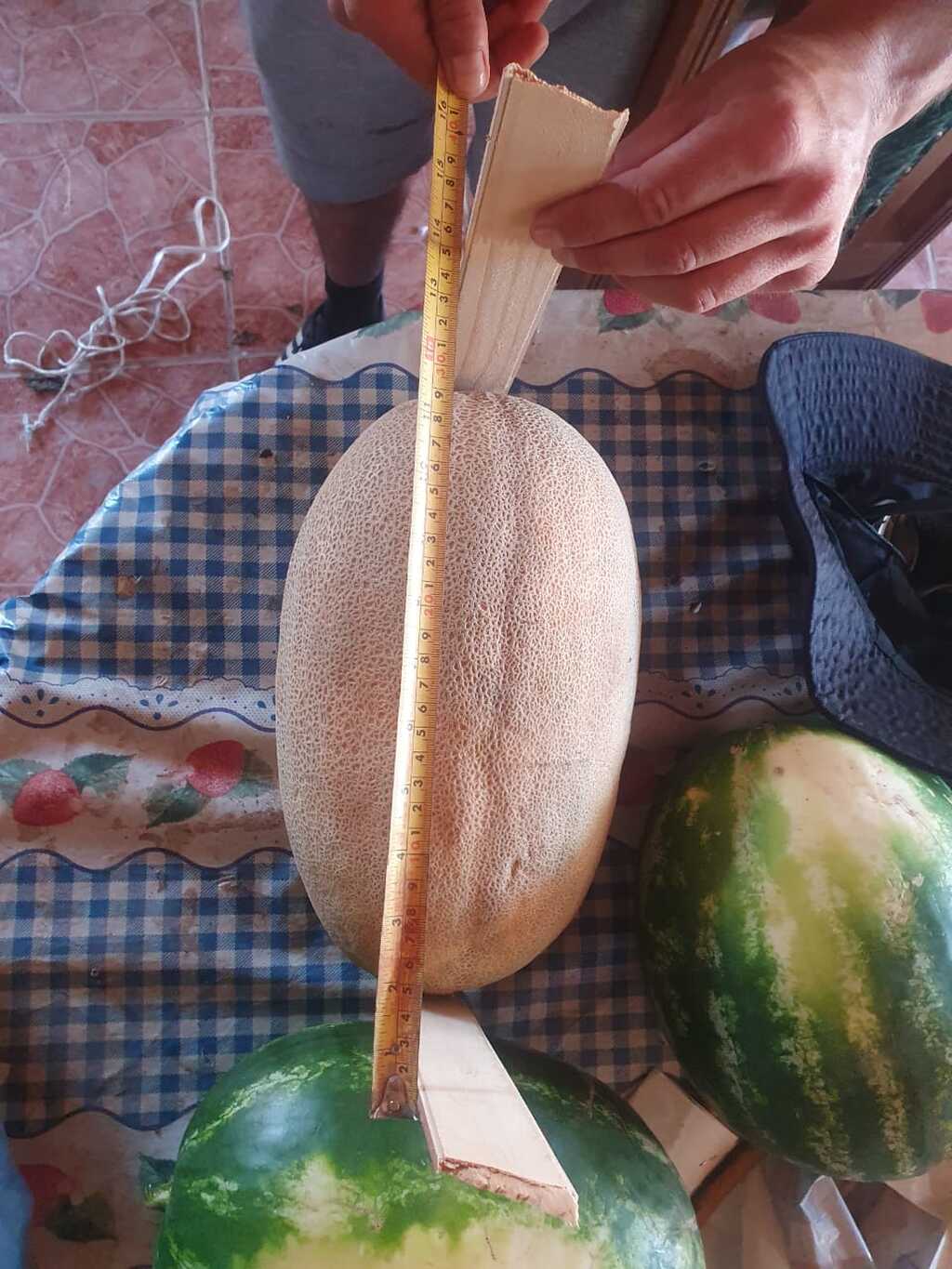 Descripción de la imagen