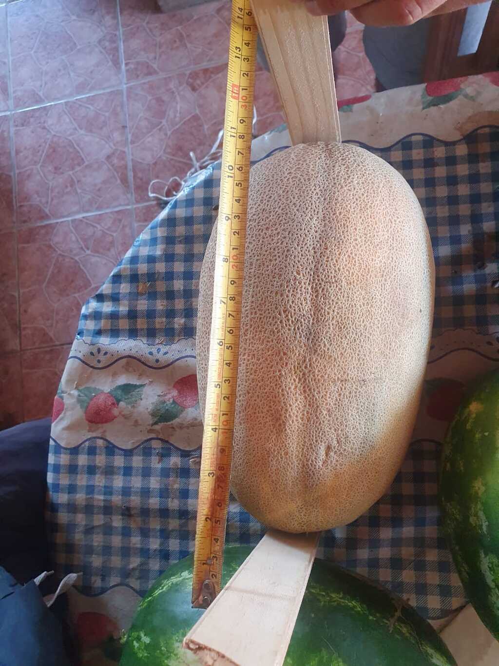 Descripción de la imagen