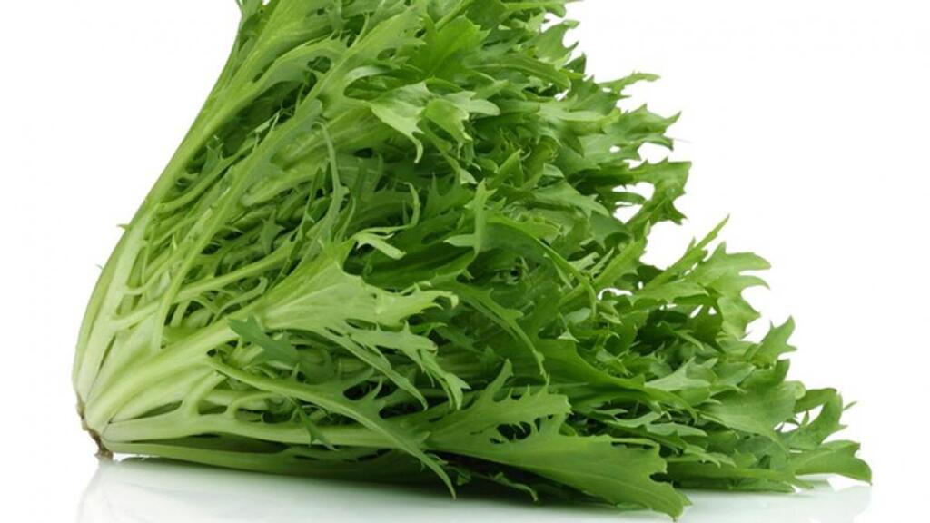 Descripción de la imagen