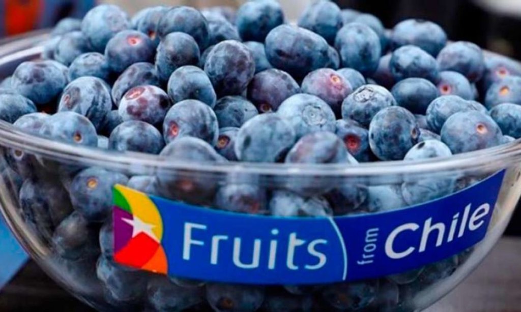 Descripción de la imagen