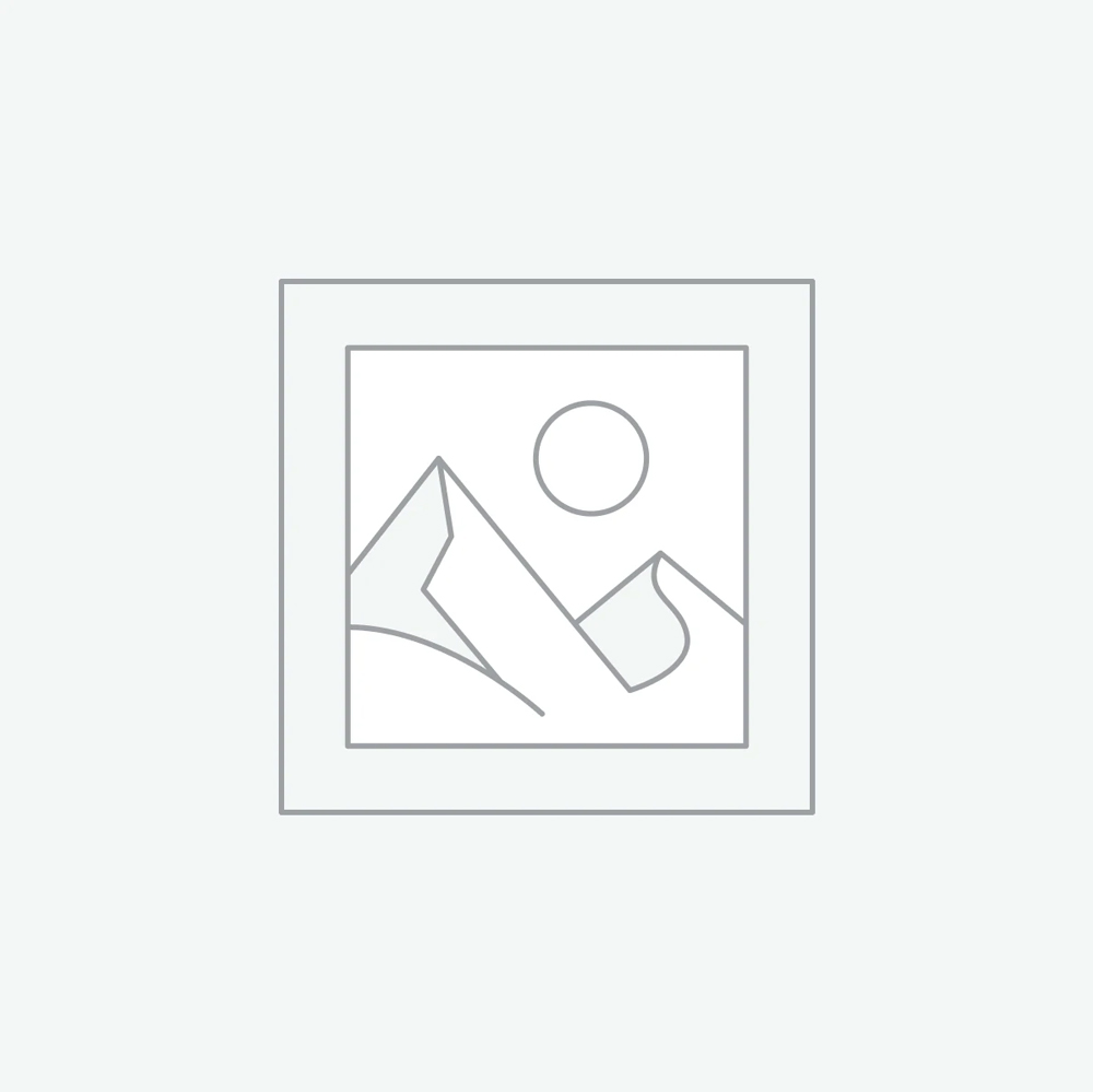 Descripción de la imagen